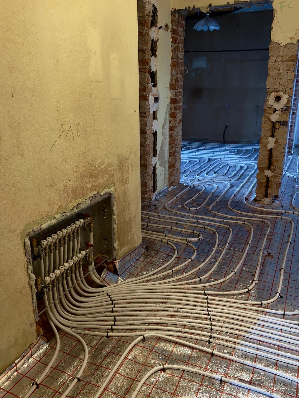 Pielęgnacja róż ogrodowych — cięcie, nawożenie i choroby