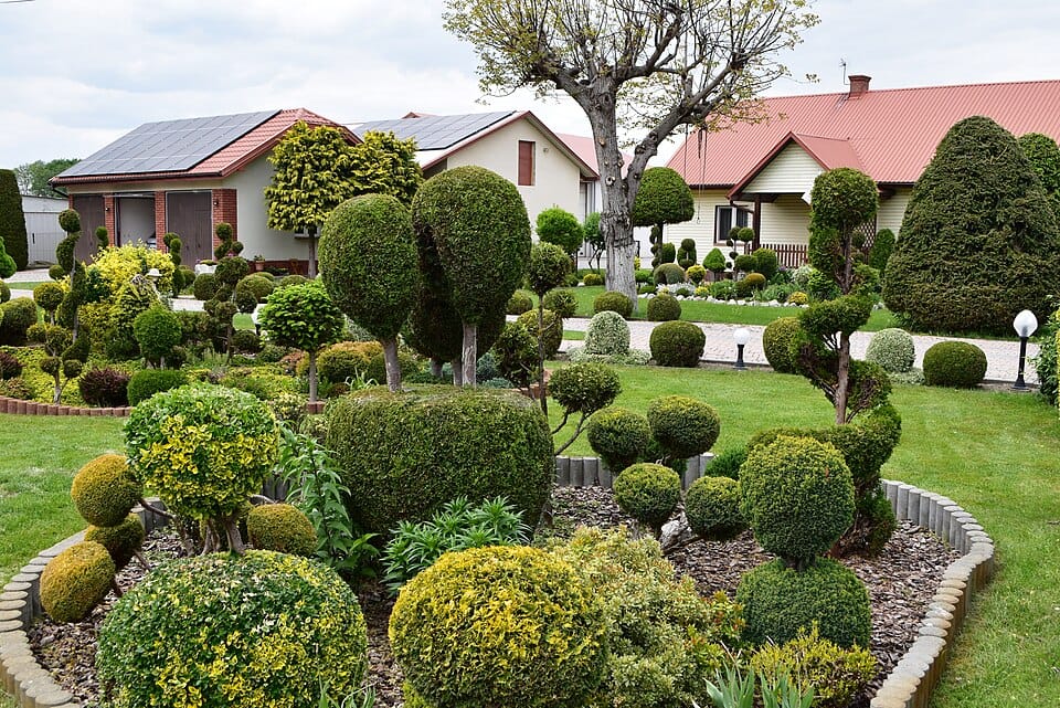 Cebule jesienne — kiedy i jak sadzić tulipany, narcyzy i krokusy