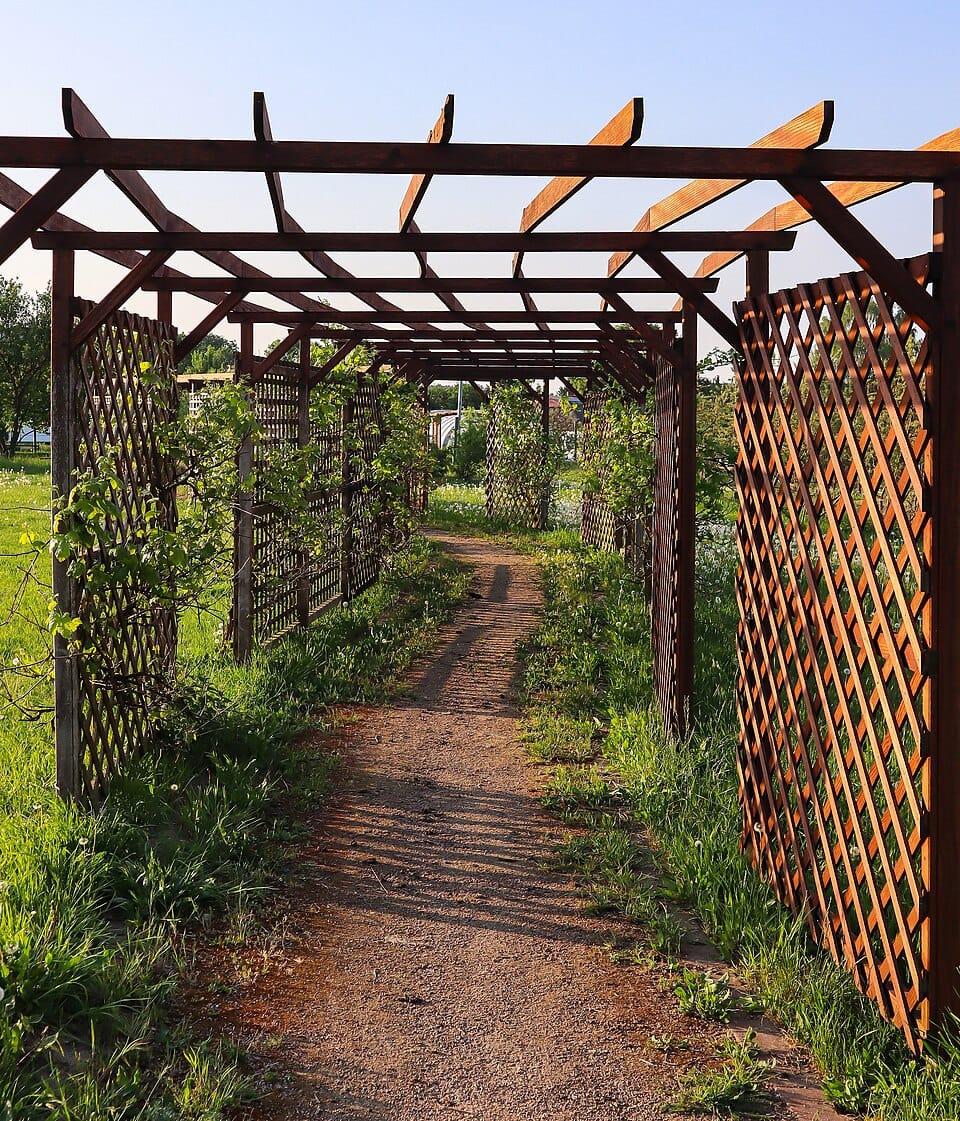 Pergola ogrodowa — jak ją zbudować i jakie pnącza wybrać