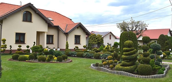 Uprawa ziół w ogrodzie i na balkonie — 15 gatunków