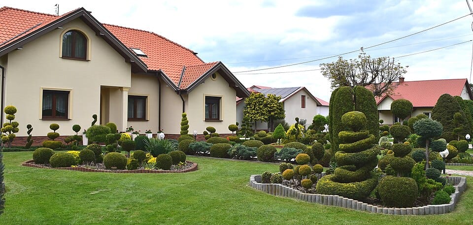 Uprawa ziół w ogrodzie i na balkonie — 15 gatunków