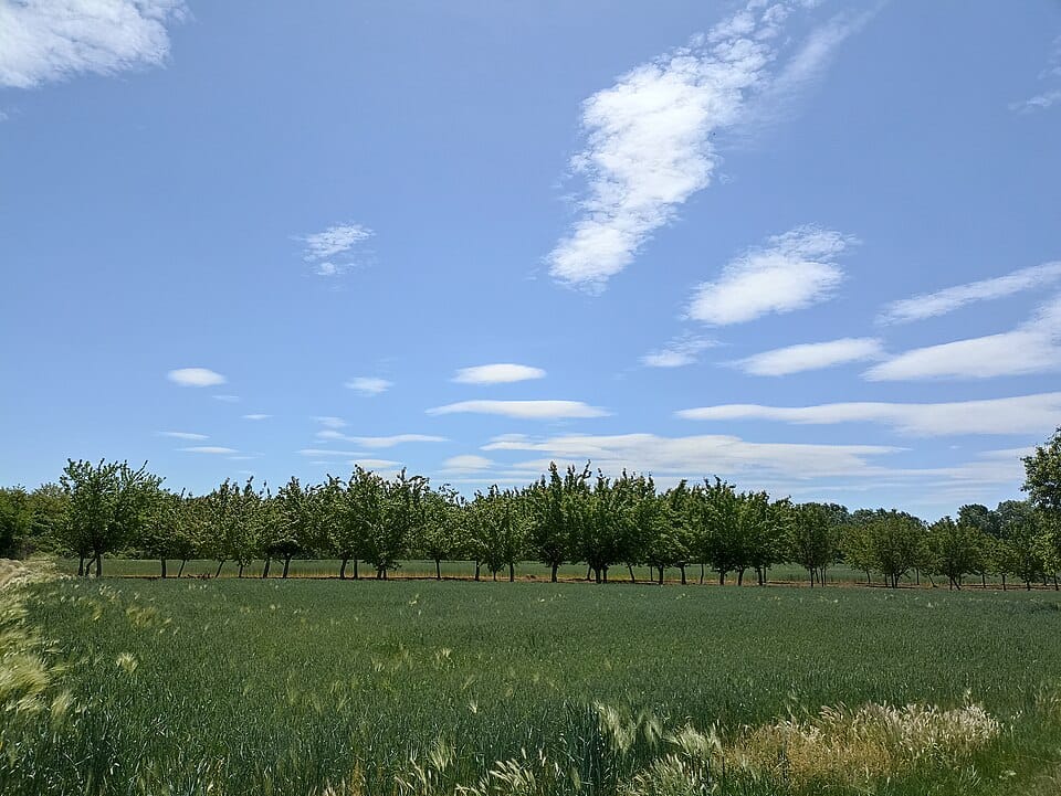 Rekuperacja w domu — wentylacja z odzyskiem ciepła krok po kroku