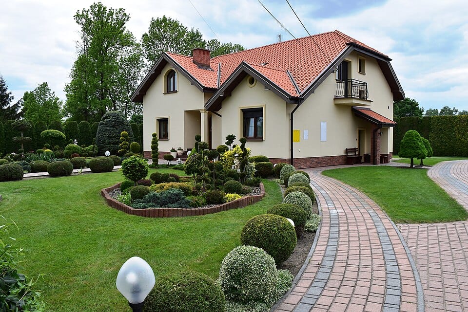 12 kwiatów balkonowych łatwych w uprawie dla każdego