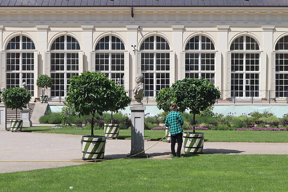Podlewanie roślin doniczkowych — kiedy, ile i jak podlewać