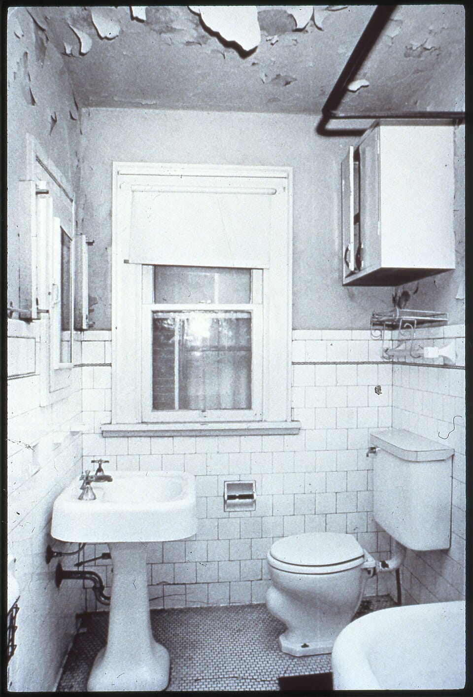 Uprawa truskawek — odmiany, rabaty, donice i porady